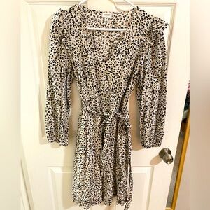 Jcrew Leopard Print Dress